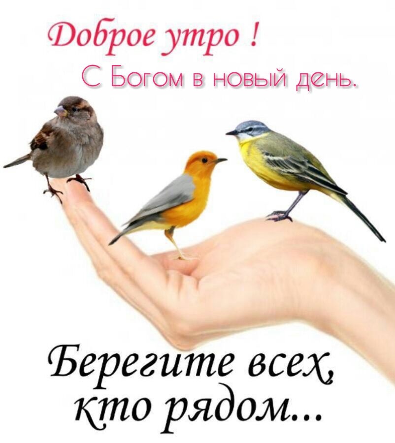 Фоброе утро С Богом в новый день Ёерегите всех ы кто рядом