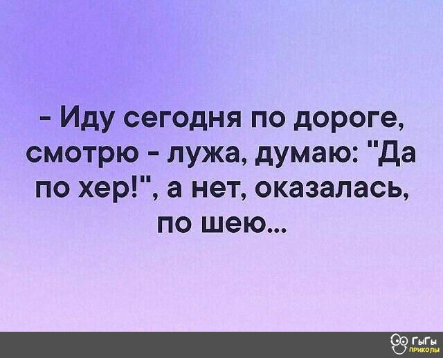 Иду сегодня по дороге смотрю лужа думаю Да по хер а нет оказалась по шею