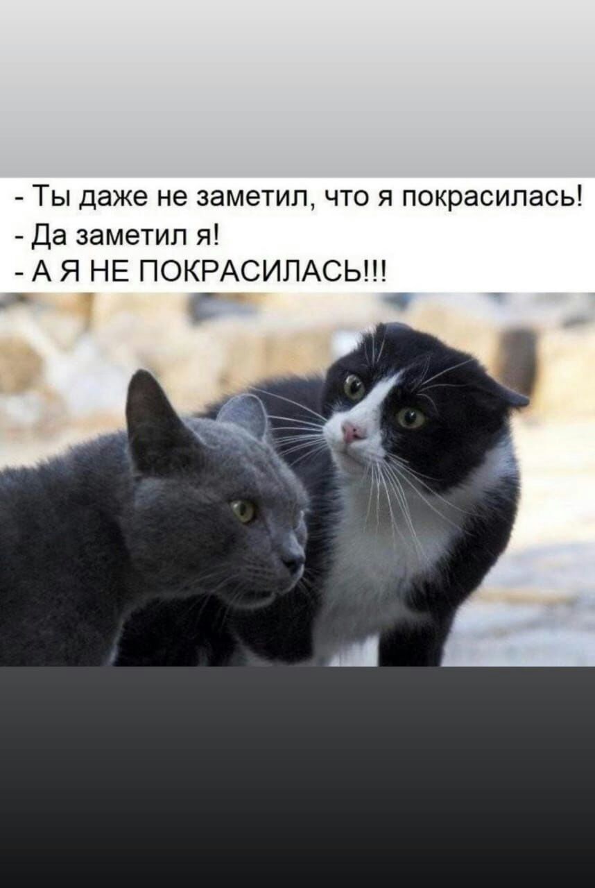 ТЫ даже не 38М6ТИЛ ЧТО Я покрасилась Да заметил я А Я НЕ ПОКРАСИПАСЬ С