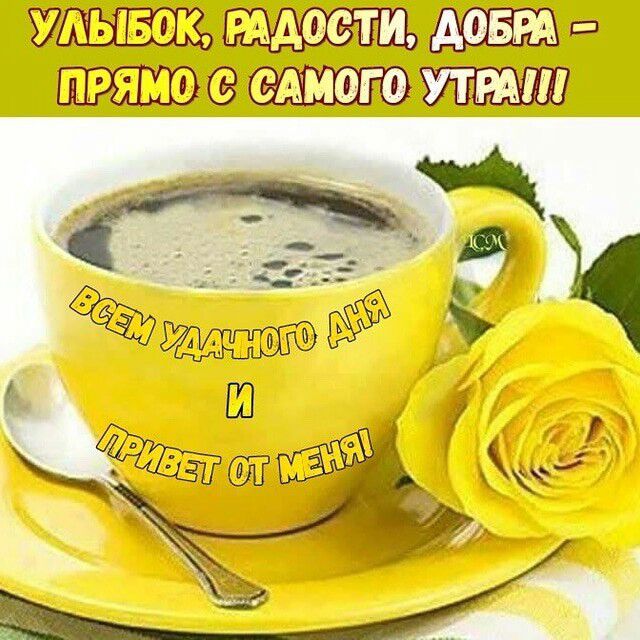 УАывою тдости дов прямокв едкого уттш