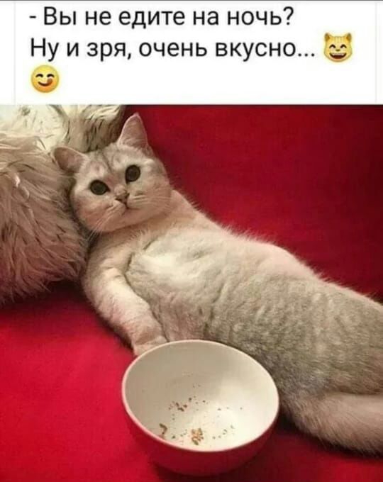 Вы не едите на ночь Ну и зря очень вкусно