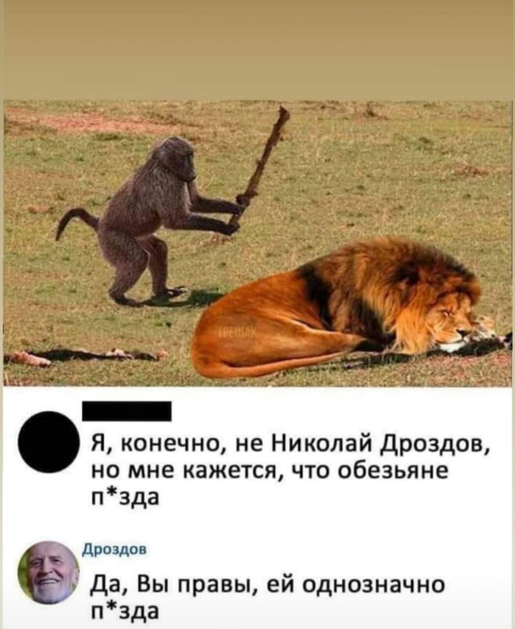Я конечно не Николай дроздов но мне кажется что обезьяне пзда дР3дВ да Вы правы ей однозначно пзда