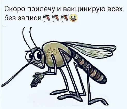 Скоро прилечу и вакцинирую всех без записи