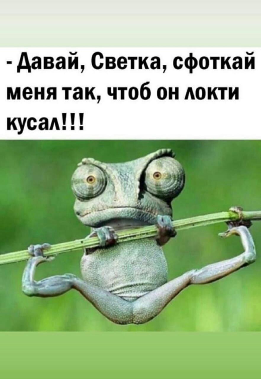 давай Светка сфоткай меня так чтоб он АОКТИ кусад