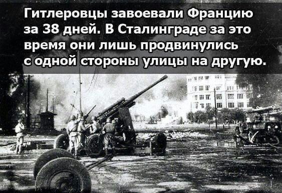 Гитлеровцы завоевали Францию за 38 дней В Сталинградеза это время они лишь продвинулись с одной стоіэоны УЛИЦЫ на другую