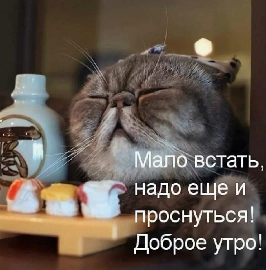 стать надо ещё и _ проснуться доброе утро