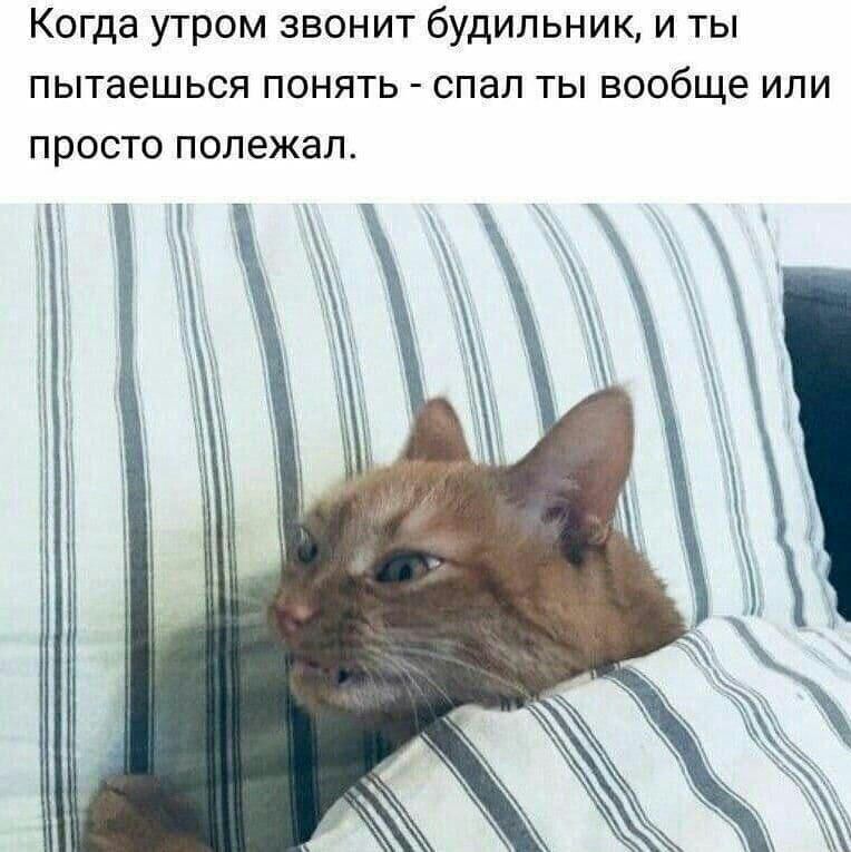 Когда утром звонит будильник и ты пытаешься понять спал ты вообще или просто полежал