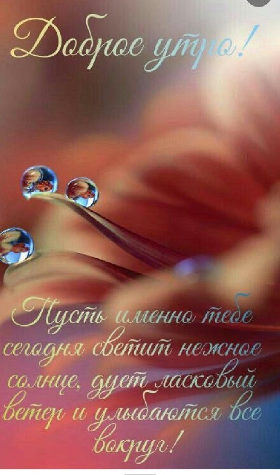 __ иЕМЛЫ т _ СКБтай мскяітм