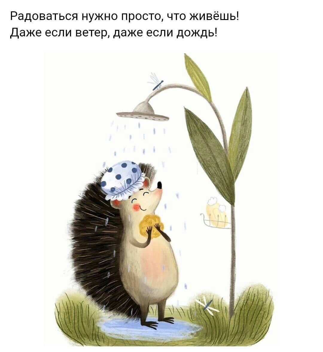 Радоваться нужно просто что живёшь Даже если ветер даже если дождь