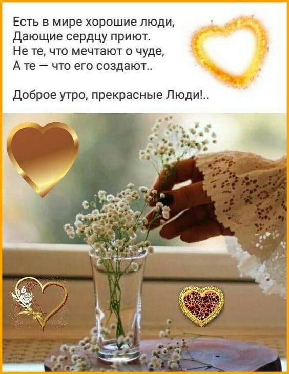 Есть в мире хорошие люди дающие сердцу приют Не те что мечтают о чуде А те что его создают доброе утро прекрасные Люди