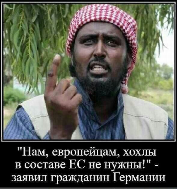 Нам европейцам хохлы в составе ЕС не нужны заявил гражданин Германии