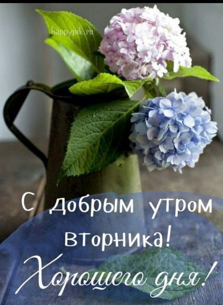 .   Добрын 'п рбмч '  8 вторника!