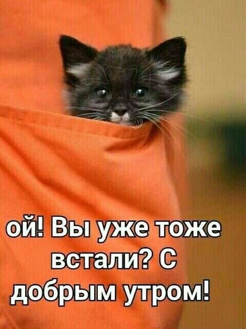 аи ВЁ пище тбже всталиітс эбрьщм утром