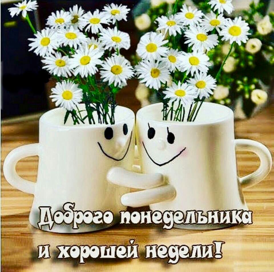 доброг пенедельника  
