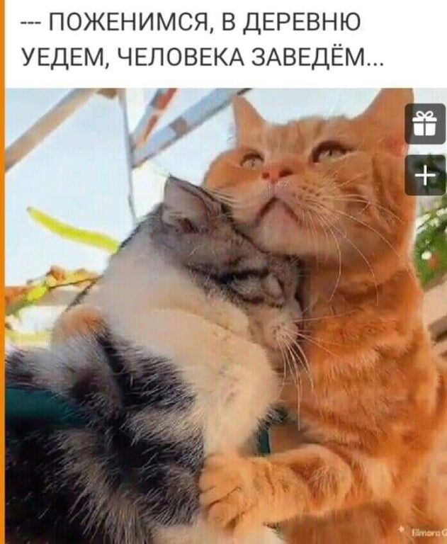 ПОЖЕНИМСЯ в ДЕРЕВНЮ УЕДЕМ ЧЕЛОВЕКА ЗАВЕДЁМ