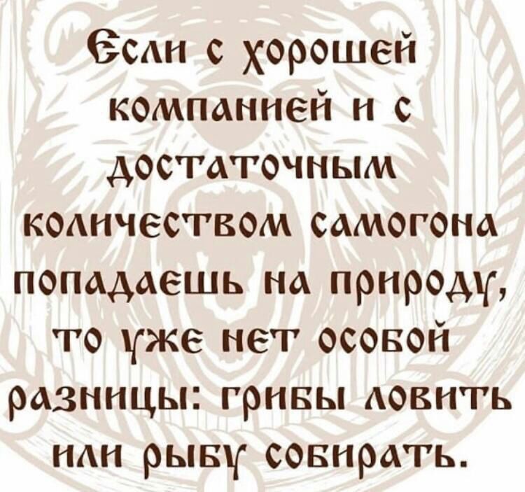 Зин с хорошей компанией и с достаточным коанчеством самогона попадаешь на природу то уже нет осовой разницы ГРИБЫ АОВНТЬ наи рыву совирать