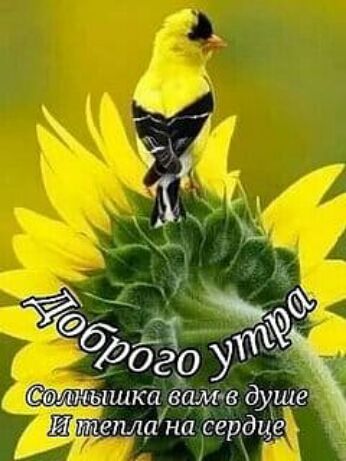 1шжга ёфщг дмг ема насед3е1_ _