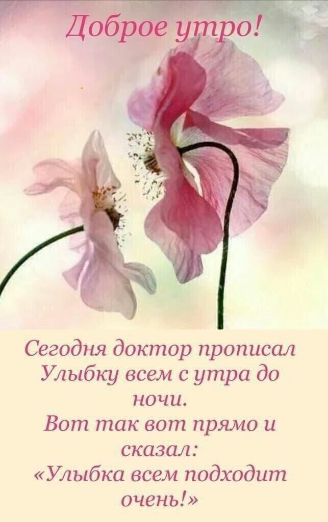 Сегодня доктор прописал Улыбку всем с утра до ночи Вот так вот прямо и сказал Улыбка всем подходит очень
