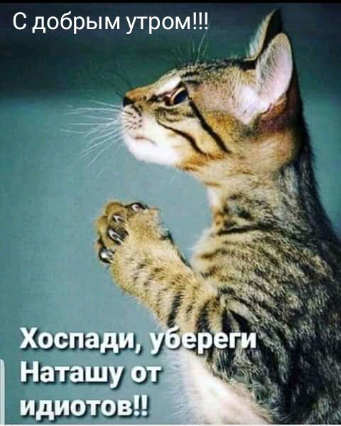 С добрым утром 1 шЬлэшу ш Шшшиі