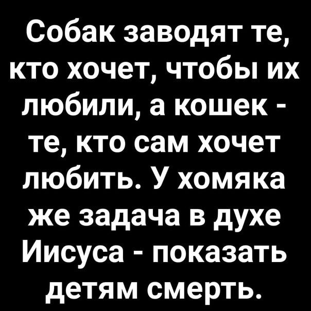 Собак заводят те кто хочет чтобы их любили а кошек те кто сам хочет любить У хомяка же задача в духе Иисуса показать детям смерть