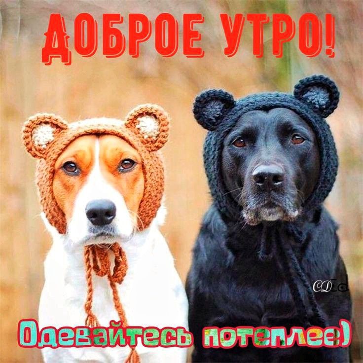 я ч СП