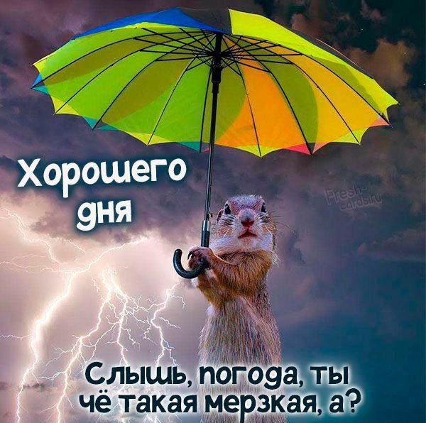 чё такая