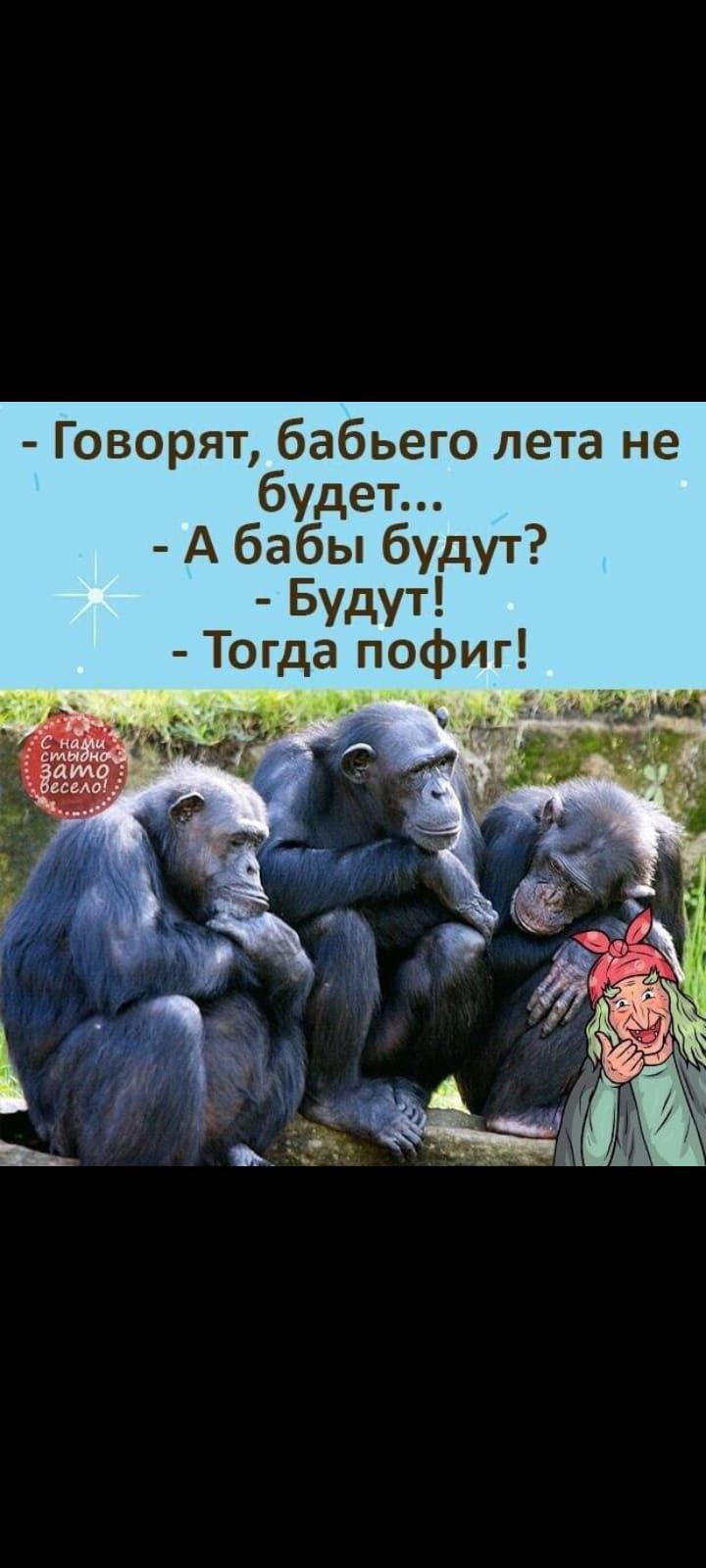 Говорят бабьего лета не 6 дет У А бабы будут Будут Тогда пофиг