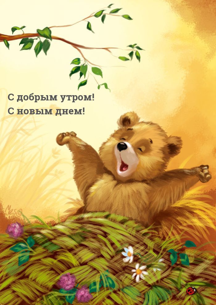1 __ С добрым утром С новым днем
