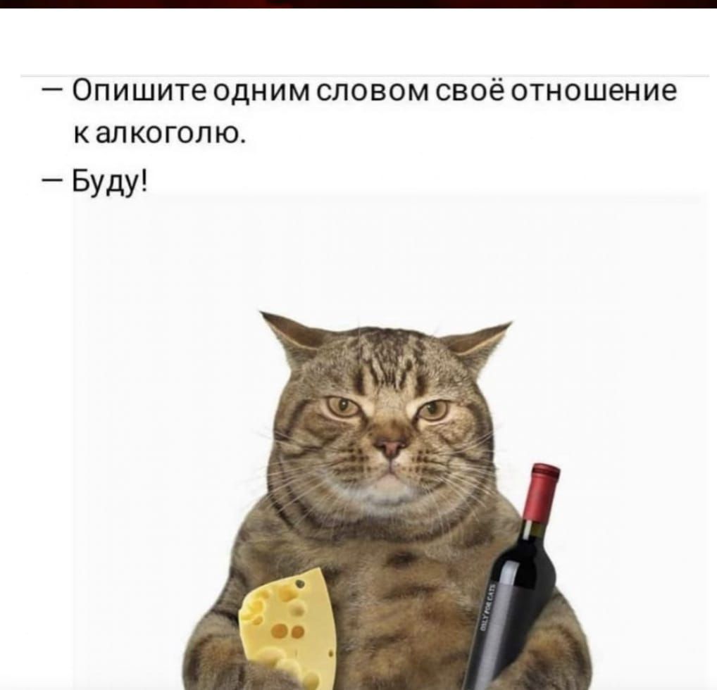 Опишите одним словом своё отношение калкоголю Буду