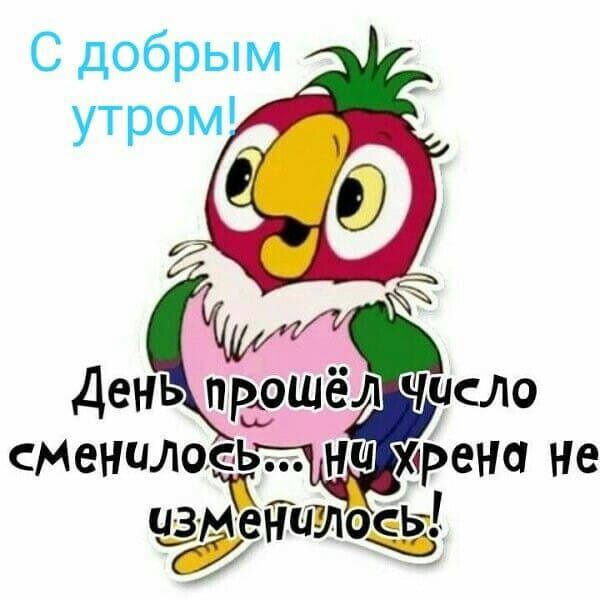 С добрым