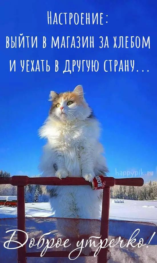 НАПРОЕНИЕ ВЫЙТИ В МАГАЗИН ЗА ХЛЕБОМ И ЧЕХАТЬ В ДРЧГЧЮ ПРАНЖ