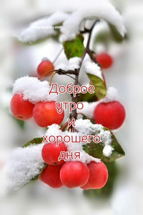 Ч