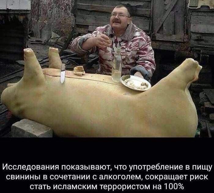 Исследования показывают что употребление в пищу свинины в сочетании с алкоголем сокращает риск стать исламским террористом на 100
