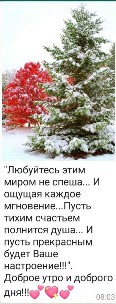 Любуйтесь этим миром не спеша И ощущая каждое мгновениеПусть тихим счастьем полнится душа И пусть прекрасным будет Ваше настроение Доброе утро и доброго дня 0803