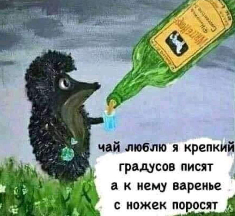 чай люблю я крепкий градусов писят а к нему варенье С НОЖВК ПОРОСЯТ