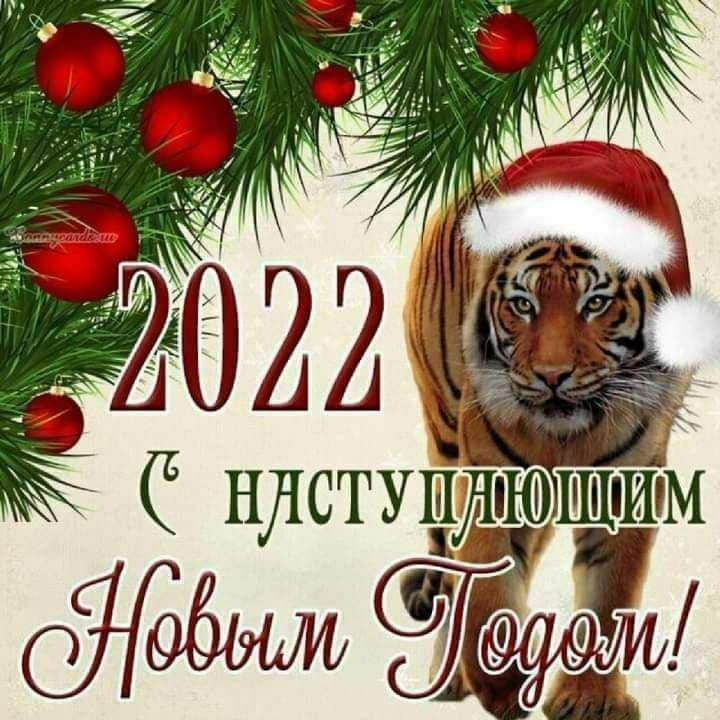 няступюм сйовыль сёт