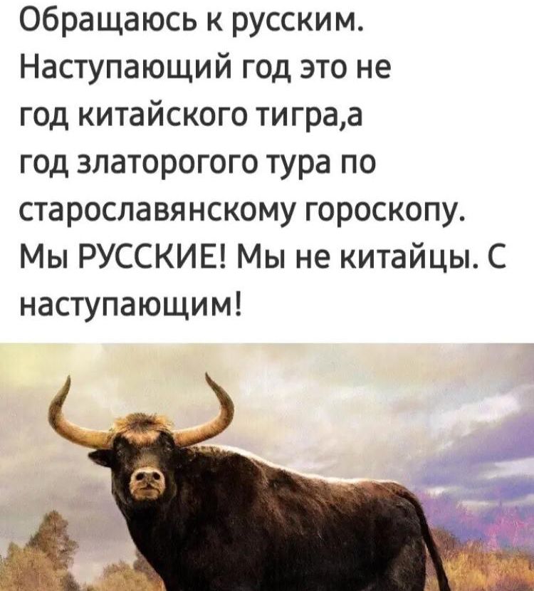 Обращаюсь к русским Наступающий год это не год китайского тиграа год златорогого тура по старославянскому гороскопу Мы РУССКИЕ Мы не китайцы С наступающим