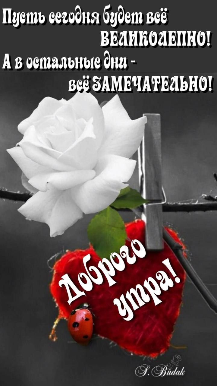 Пусть еетдня будет всё ВЕЛИБМЕПНО А в стальные дни В ЗАМЕЧАТЕЛЬНО 17111
