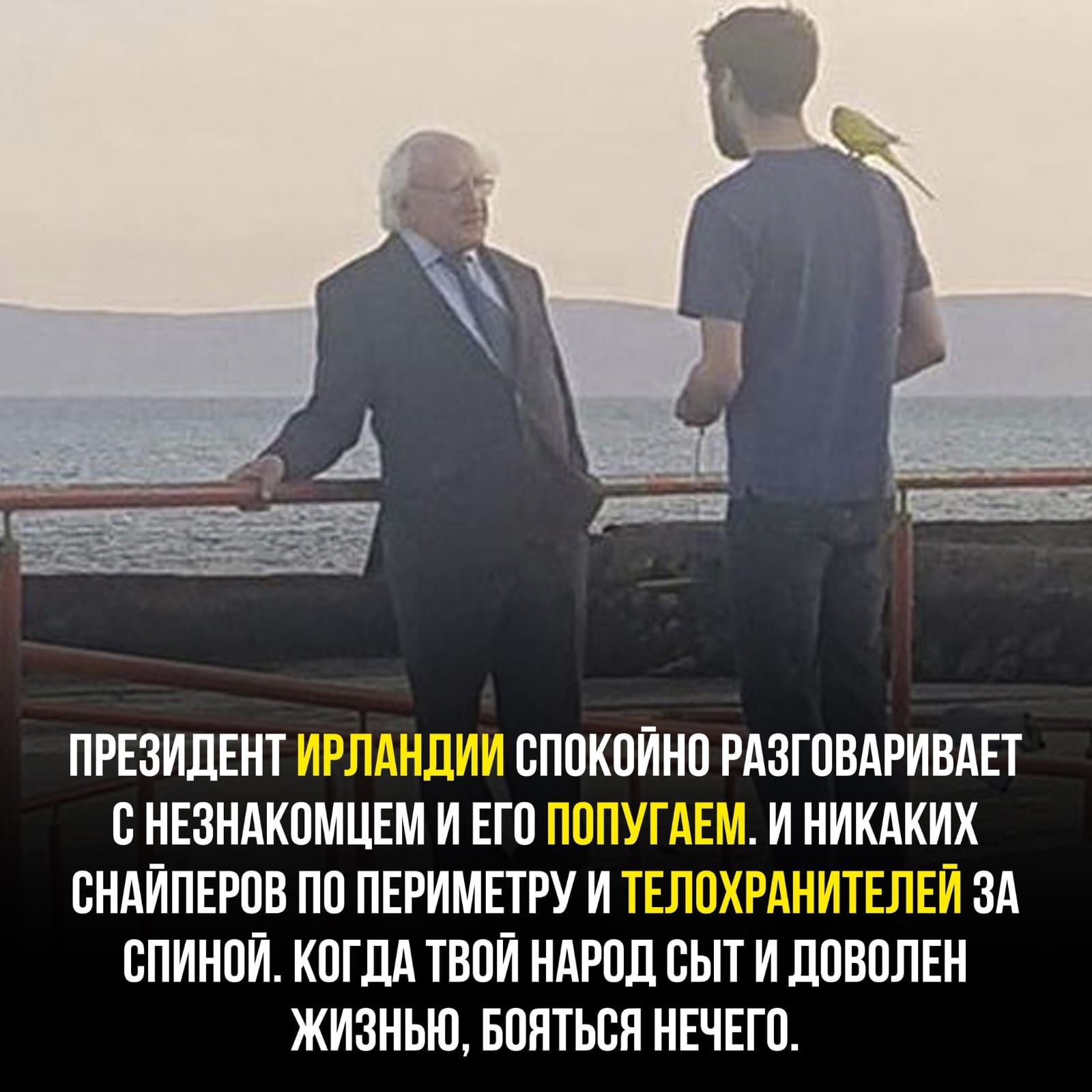 Президент ирландии спокойно разговаривает снезнакомцем и его попугаем. И никаких снайперов по периметру и телохранителей за спиной. Когда твой народ сыт и доволен жизнью, бояться нечего.