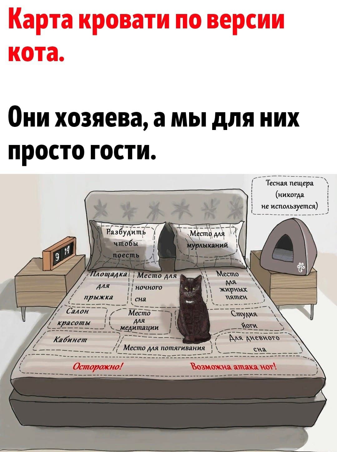 Они хозяева, а мы для них просто гости.