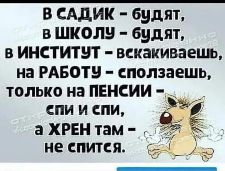 В сддик будят в школу будят в институт вскакиваешь на РАБОТ сползаешь только на пенсии _ спи и спи а ХРЕН там дій не спится Б _