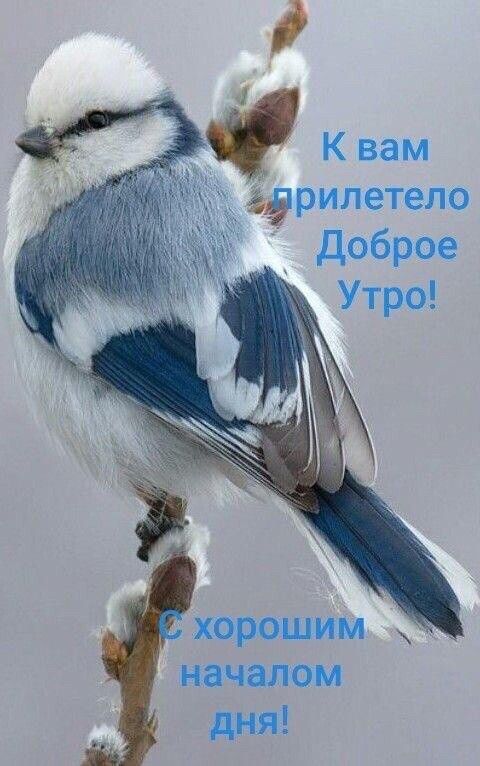 і 4 Квам дрилетело Доброе