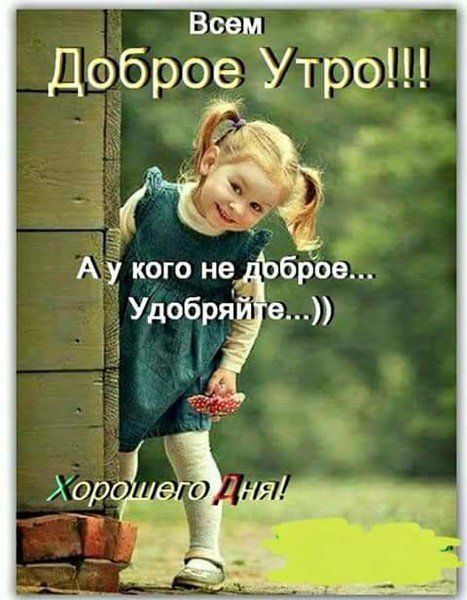 Всем и добро Утро 53