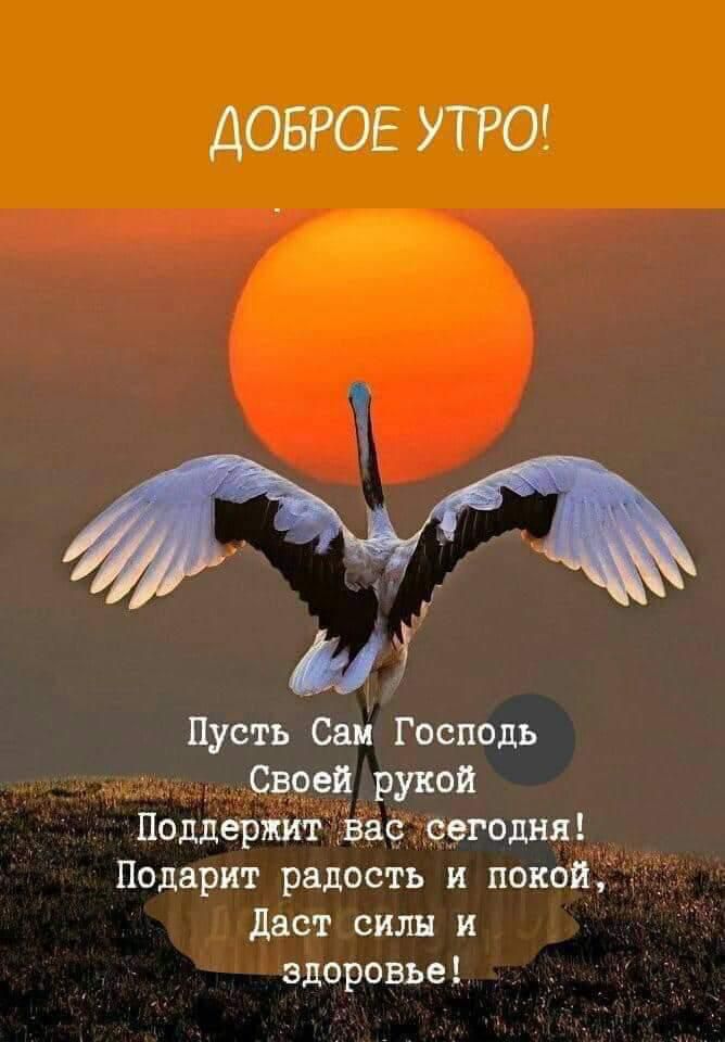 ДОБРОЕ УТРО ж 3 Пусть Сай Господь Своей рукой Поддержи нас сегодня Подарит радость и покой даст сили и здоровье