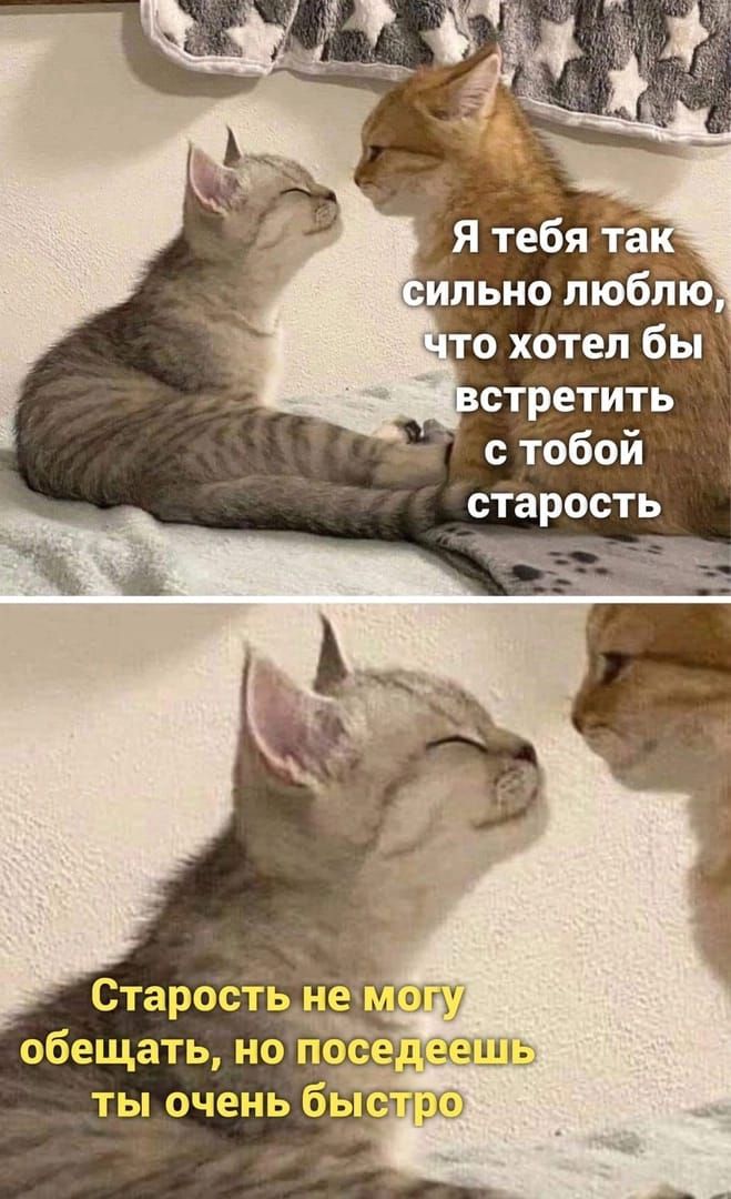 встретить старость ае