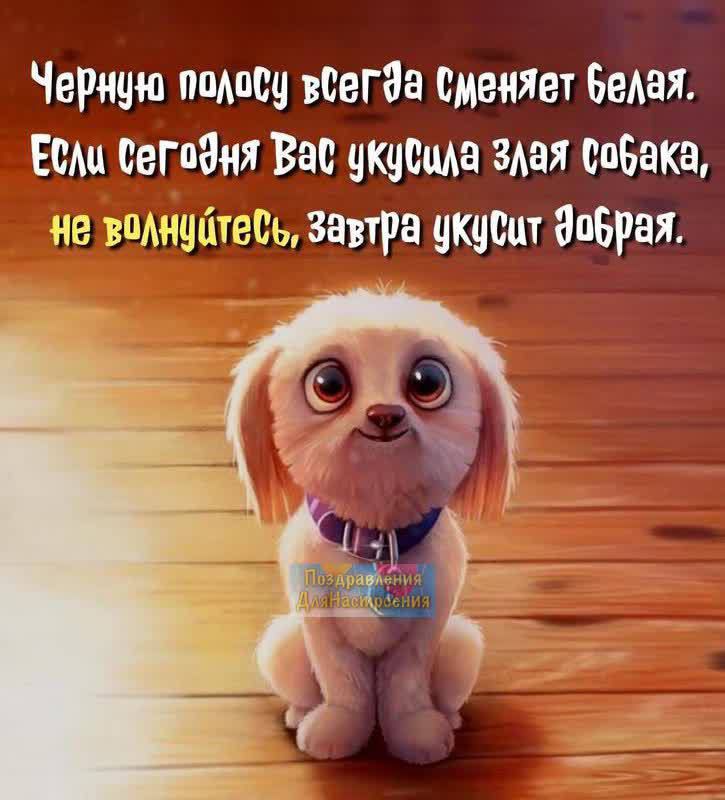 Черато ппАпсц всегда сменяет Баш Есш саг паки Вас укусаш эмм собака не вщнцётеш завтра укусит апБраж