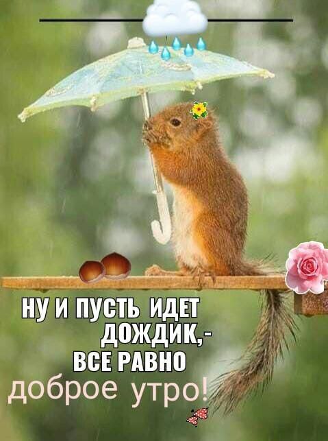 Ж НУ И ПУСТЬ ИДЕТ дождик ВСЕ РМП Ю доброе утрр