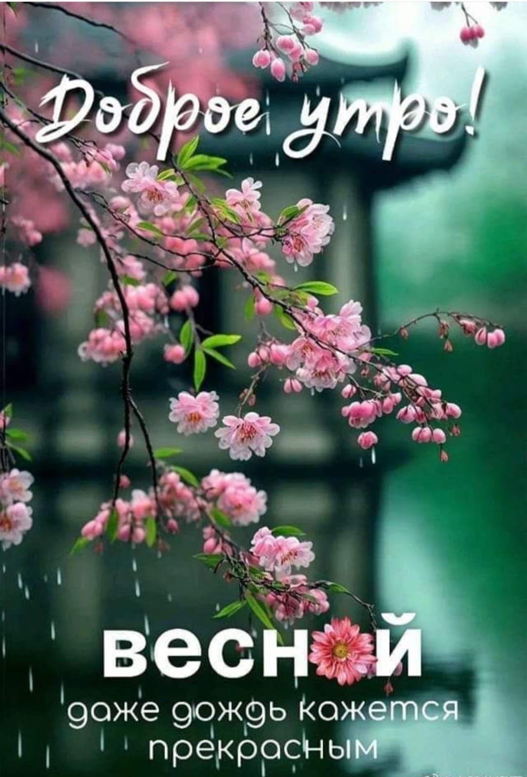 9оже 9ож9ь Ко прекрофь