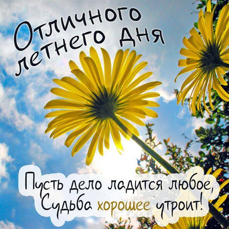 Пасть дело диджея ліобое Дьба ХОРОЩСС ТРОИТ щиі ЫТШ