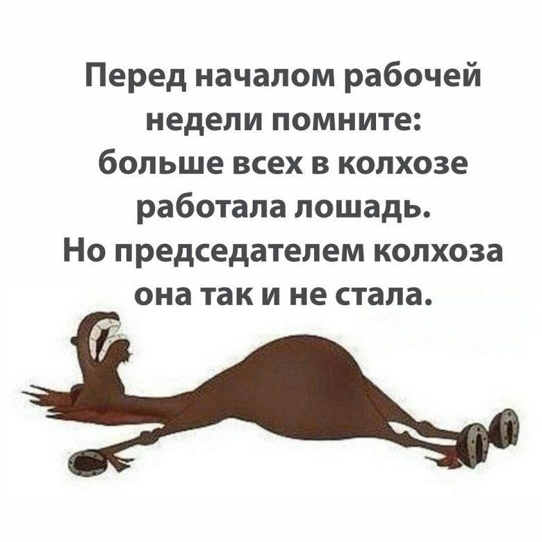 Перед началом рабочей недели помните больше всех в колхозе работала лошадь Но председателем колхоза она так и не стала